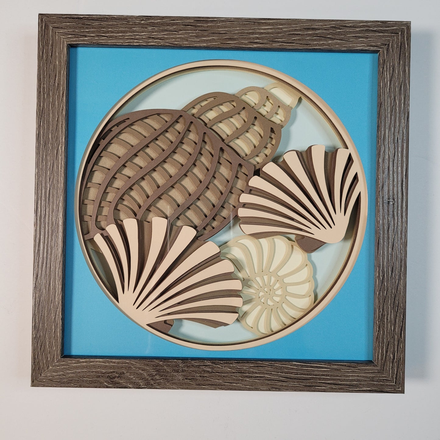 Seashells shadow box