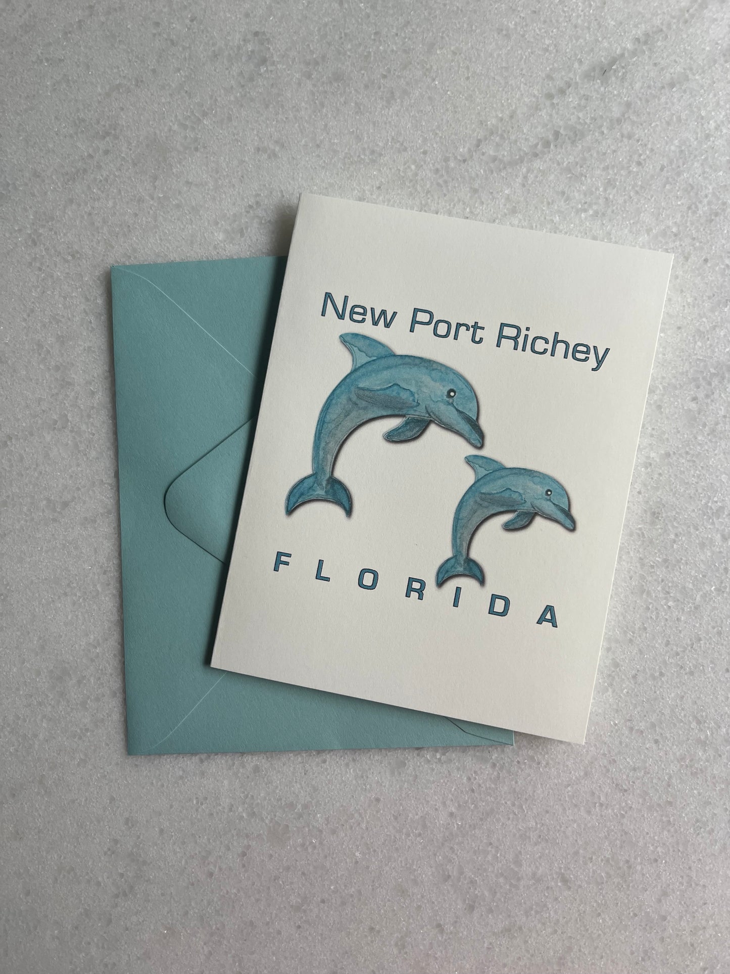 Two Dolphins – New Port Richey, FL (Small Card)