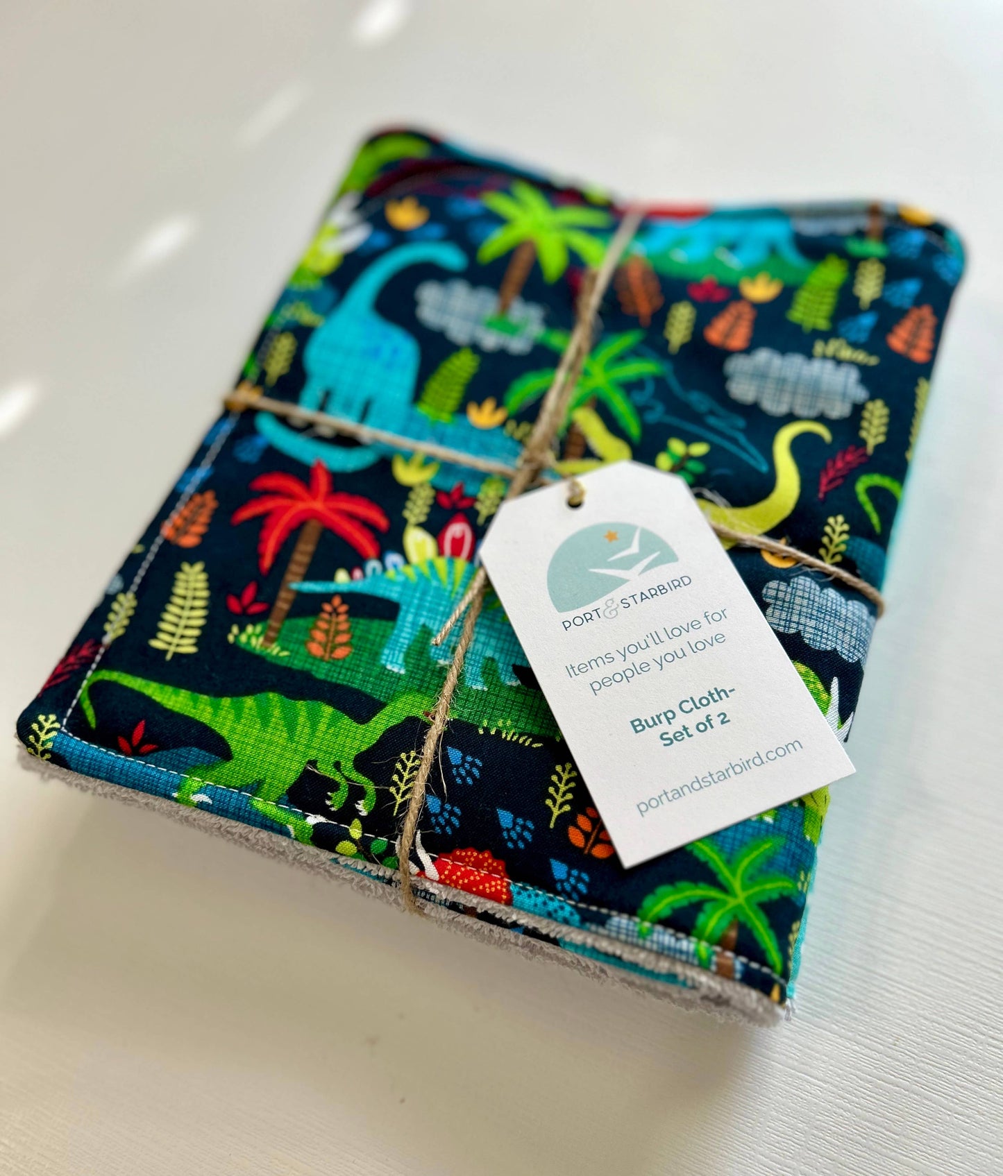 Primary Dinos Burp Cloth, set of 2