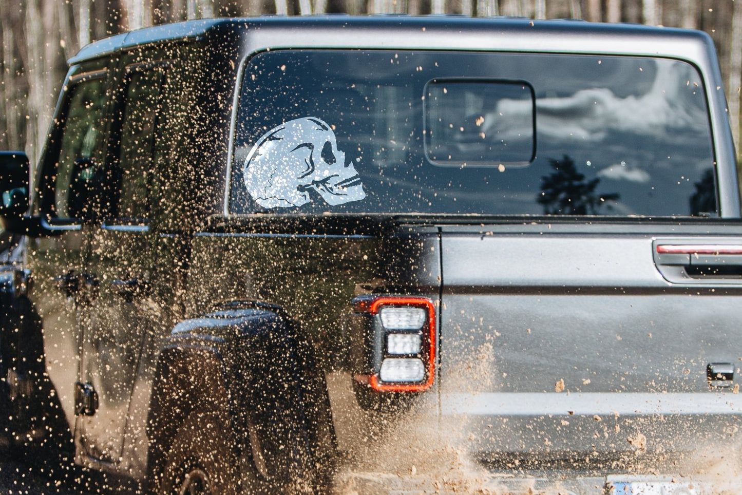 Skull Vinyl Decal | 279