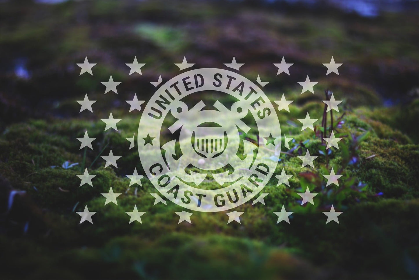 American Flag Coast Guard Star Union Vinyl Decal or Stencil | 310