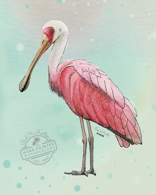 8x10 Roseate Spoonbill (Watercolor Print) - 1