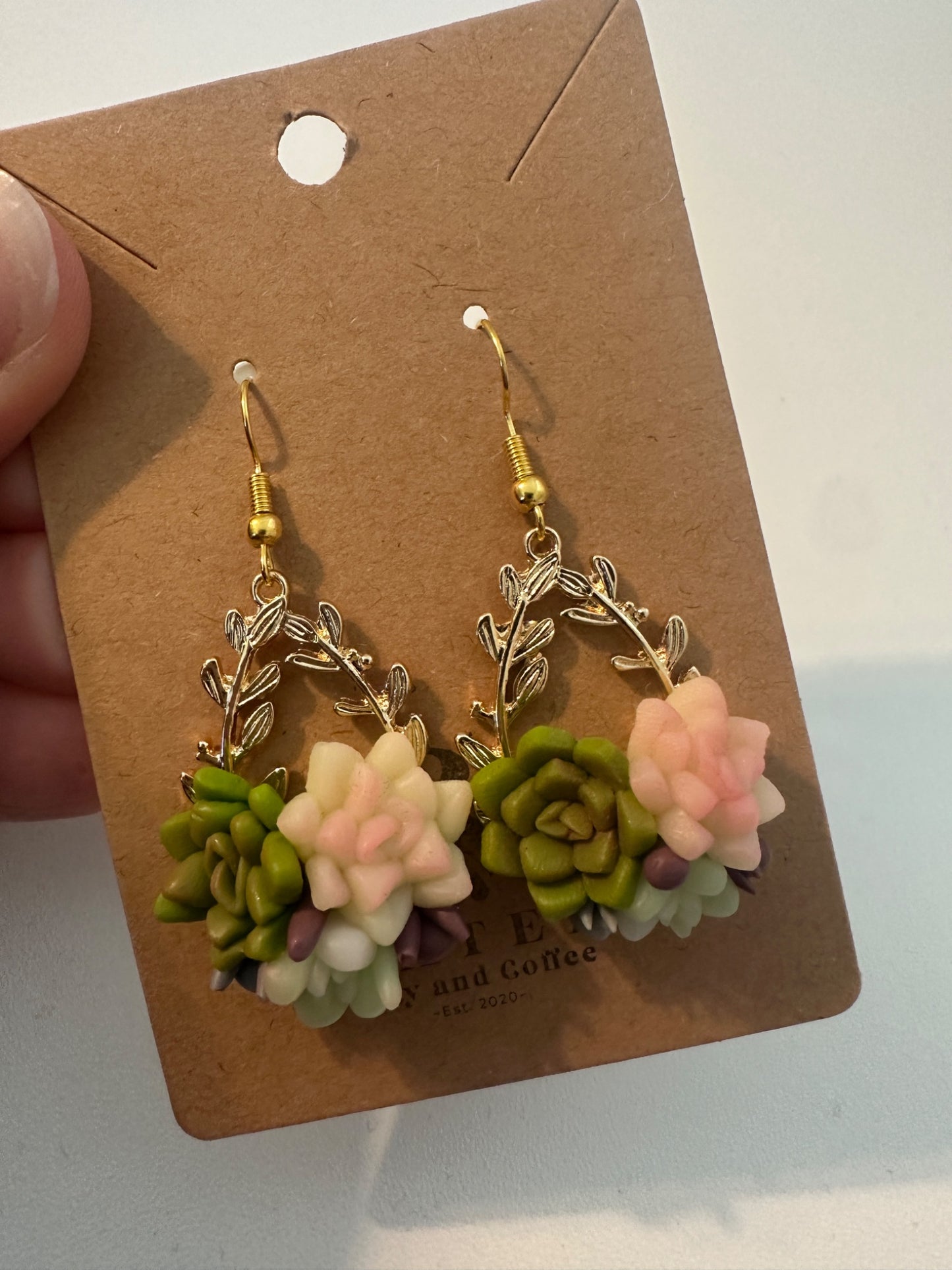 Succulents - 1
