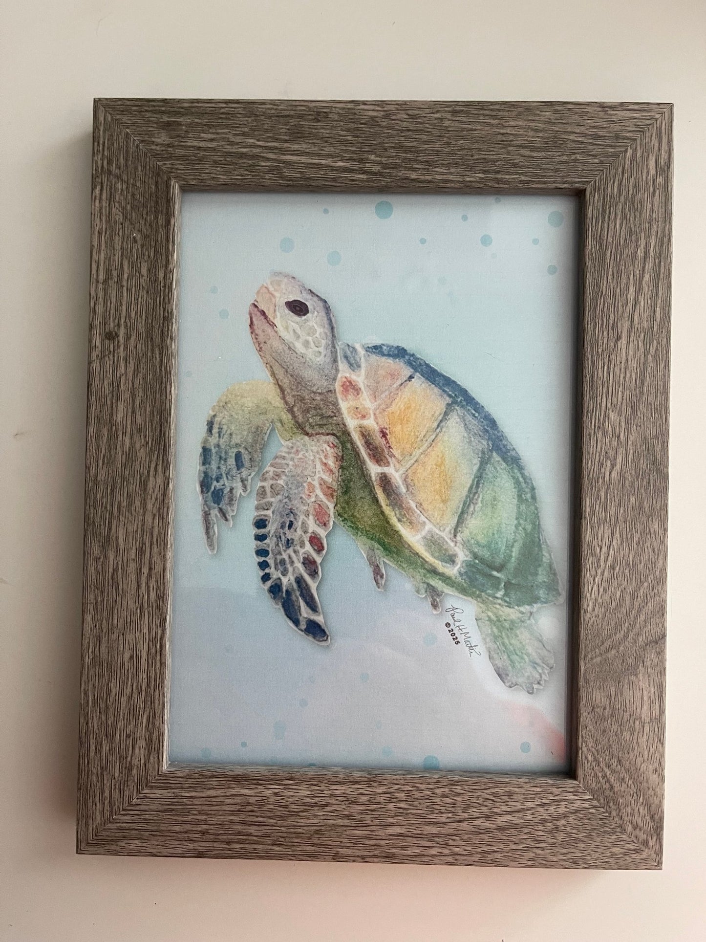 66d34fc959a1090905669a5e_img-1493_1777211066247.jpeg