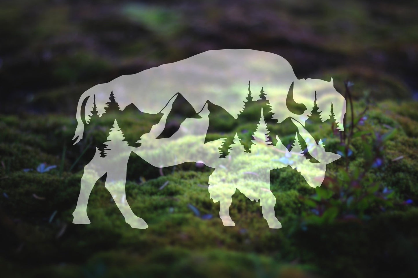 Mountain Buffalo Vinyl Decal | 128