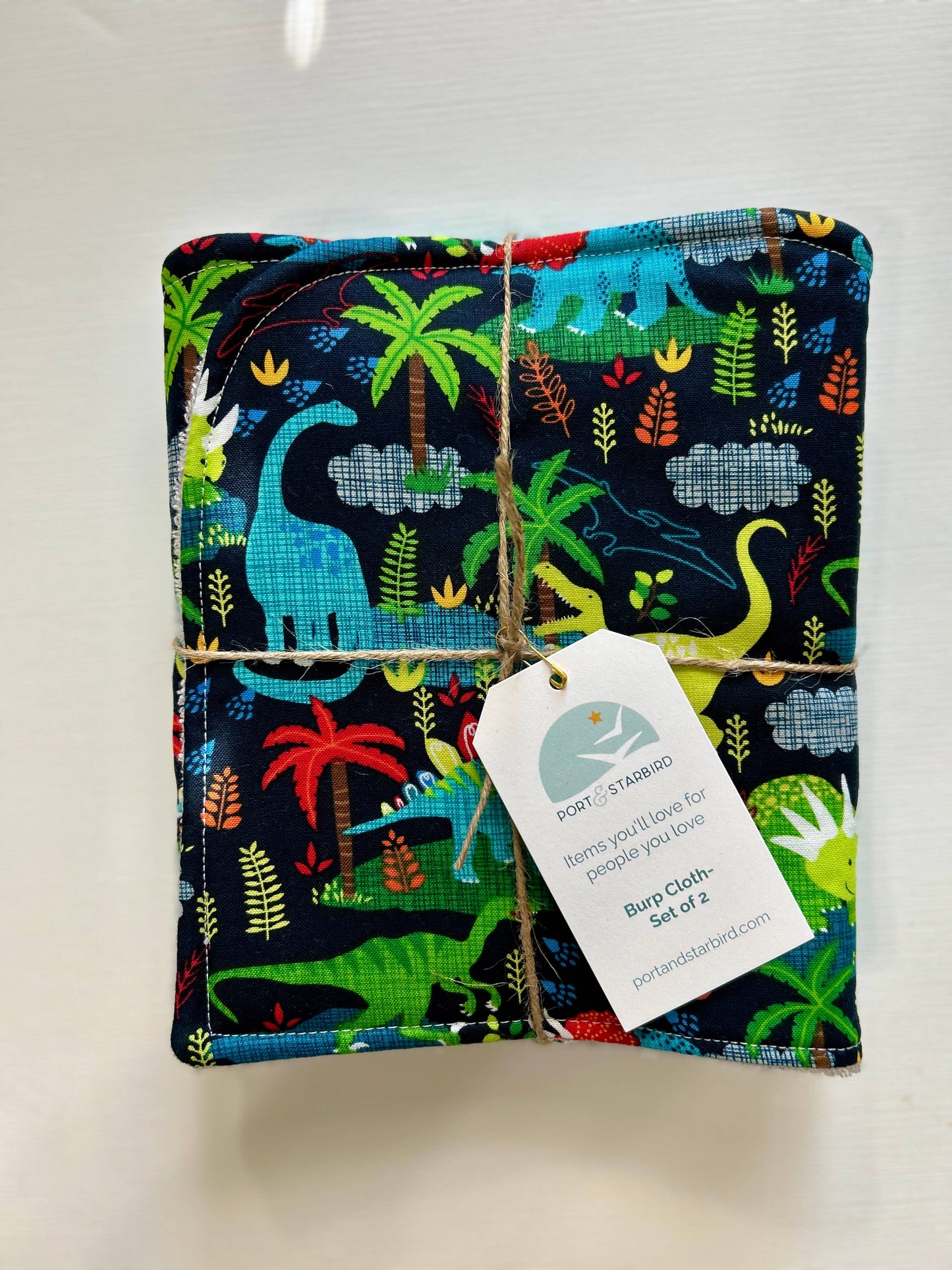 Primary Dinos Burp Cloth, set of 2