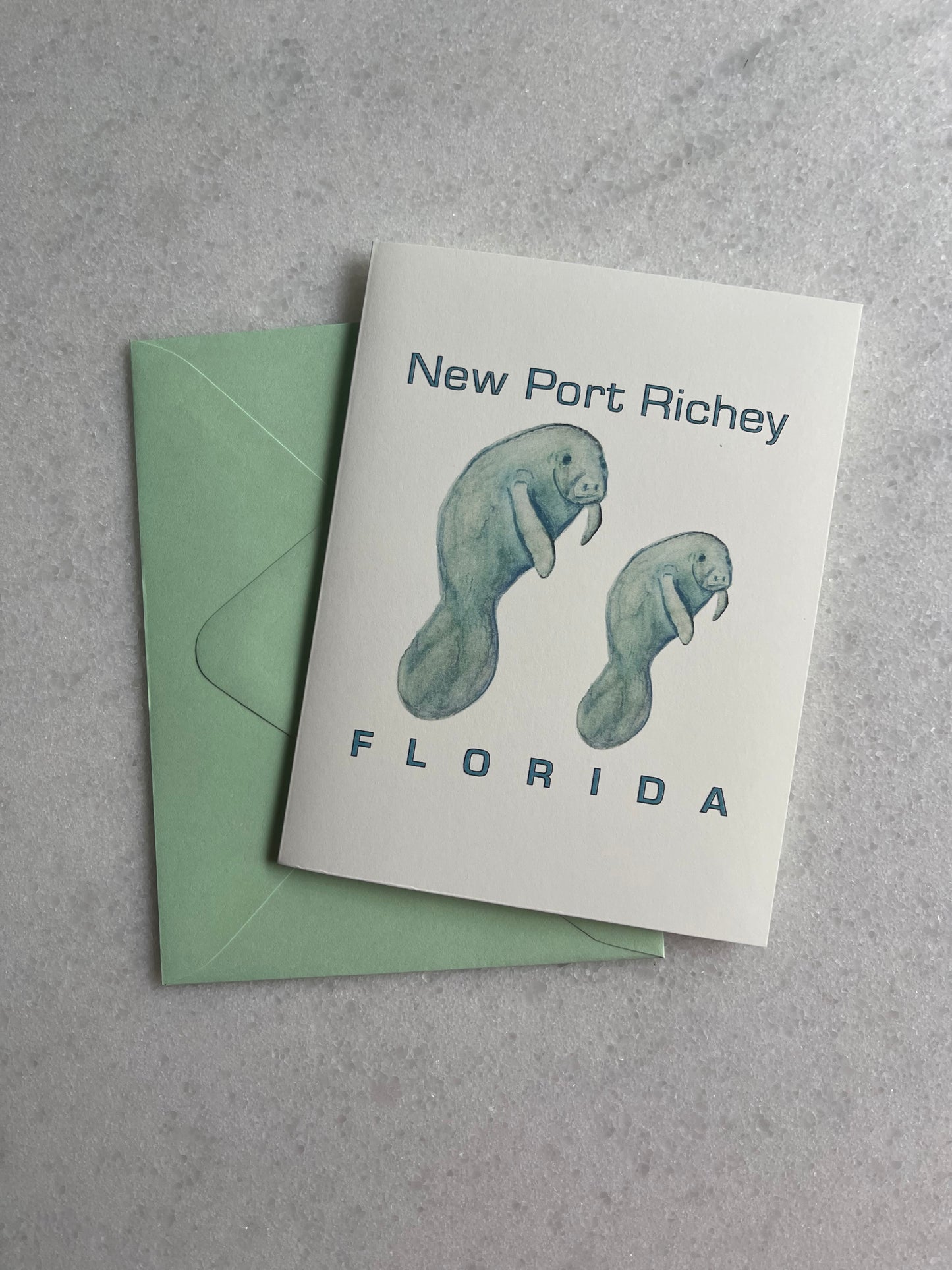 Two Manatees – New Port Richey, FL (Small Card)