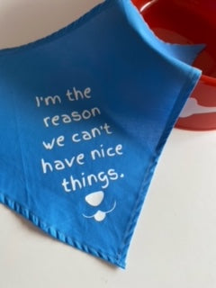 The Reason Dog Bandana-Large