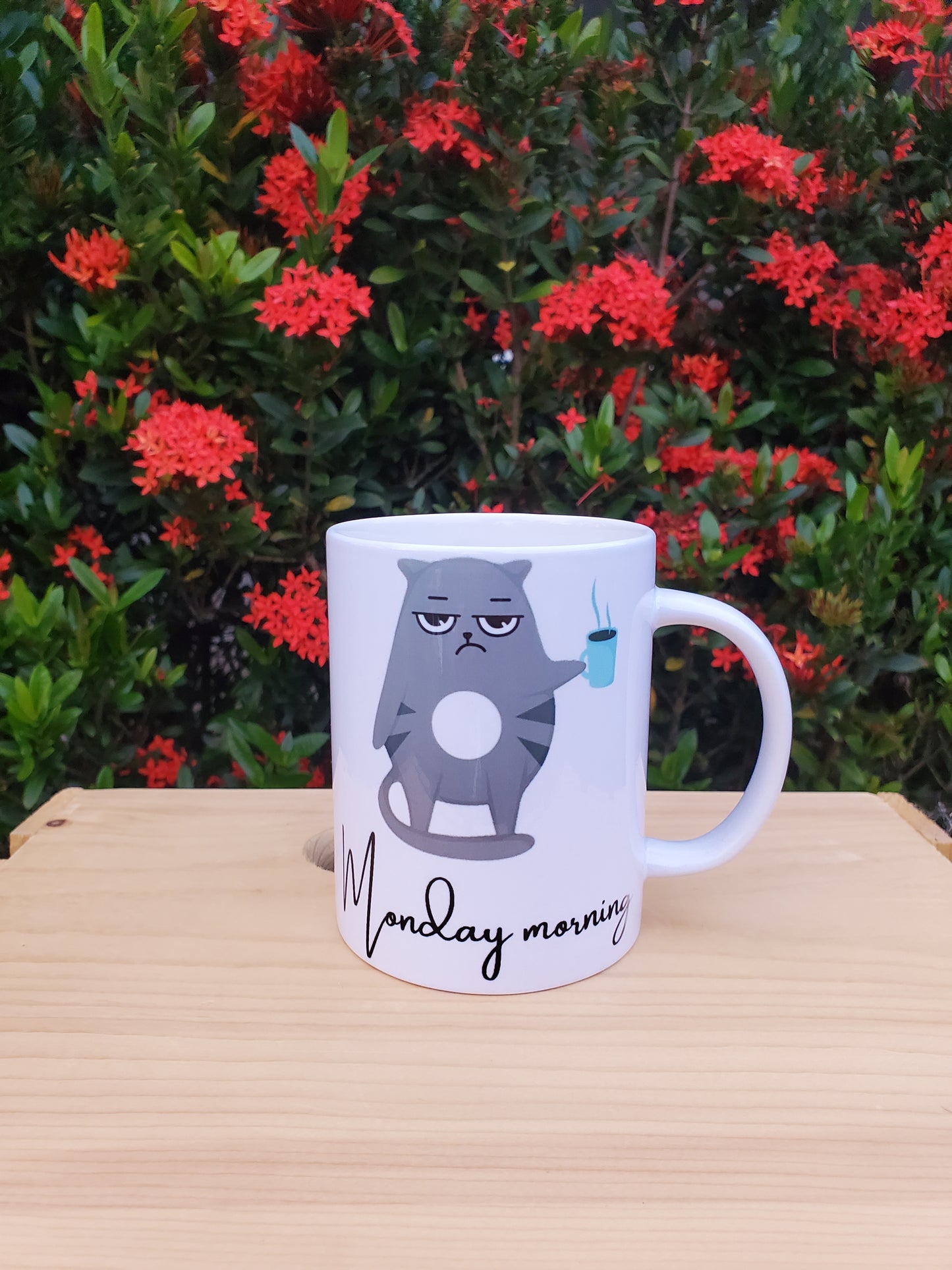 Funny Cat lovers Coffee Mug 15 oz Monday morning