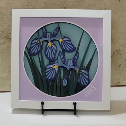 3D Iris shadow box