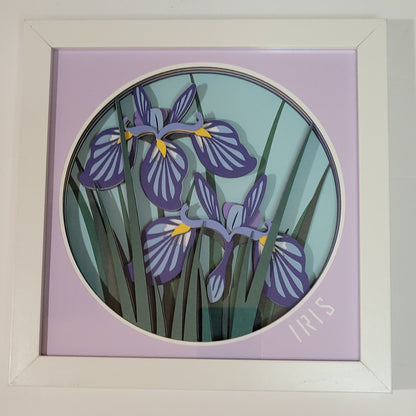 3D Iris shadow box