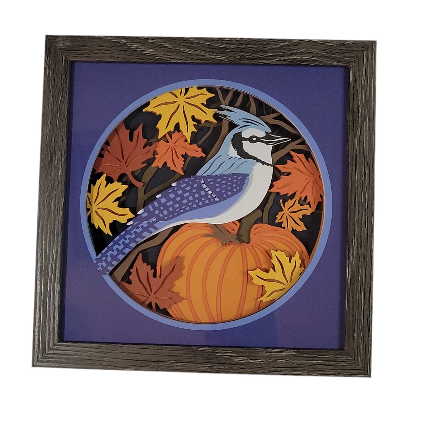 3D Blue Jay with pumpkin shadow box