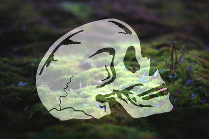 Skull Vinyl Decal | 279