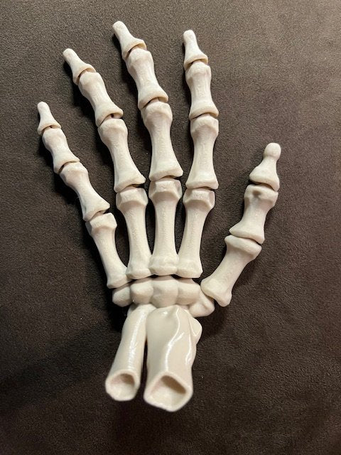 Articulated Skeleton Hand Large - 1