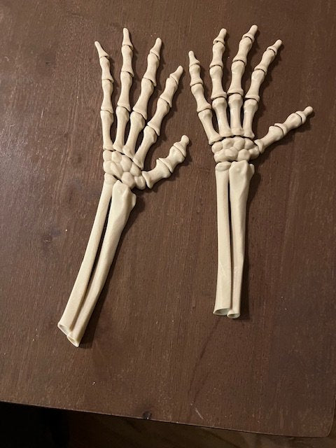 Articulated Skeleton Hand with Arm - 1