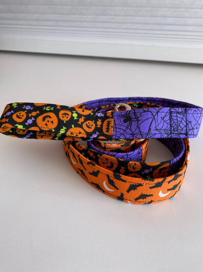 Webs, Pumpkins, and Bats Halloween Leash-Narrow - 1