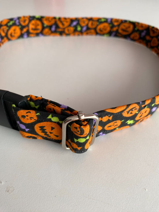 Pumpkins Dog Collar-Extra Large - 1