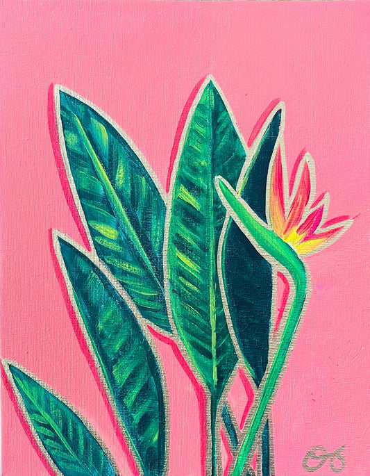 Bird of Paradise Paper Print 7x5 - 1