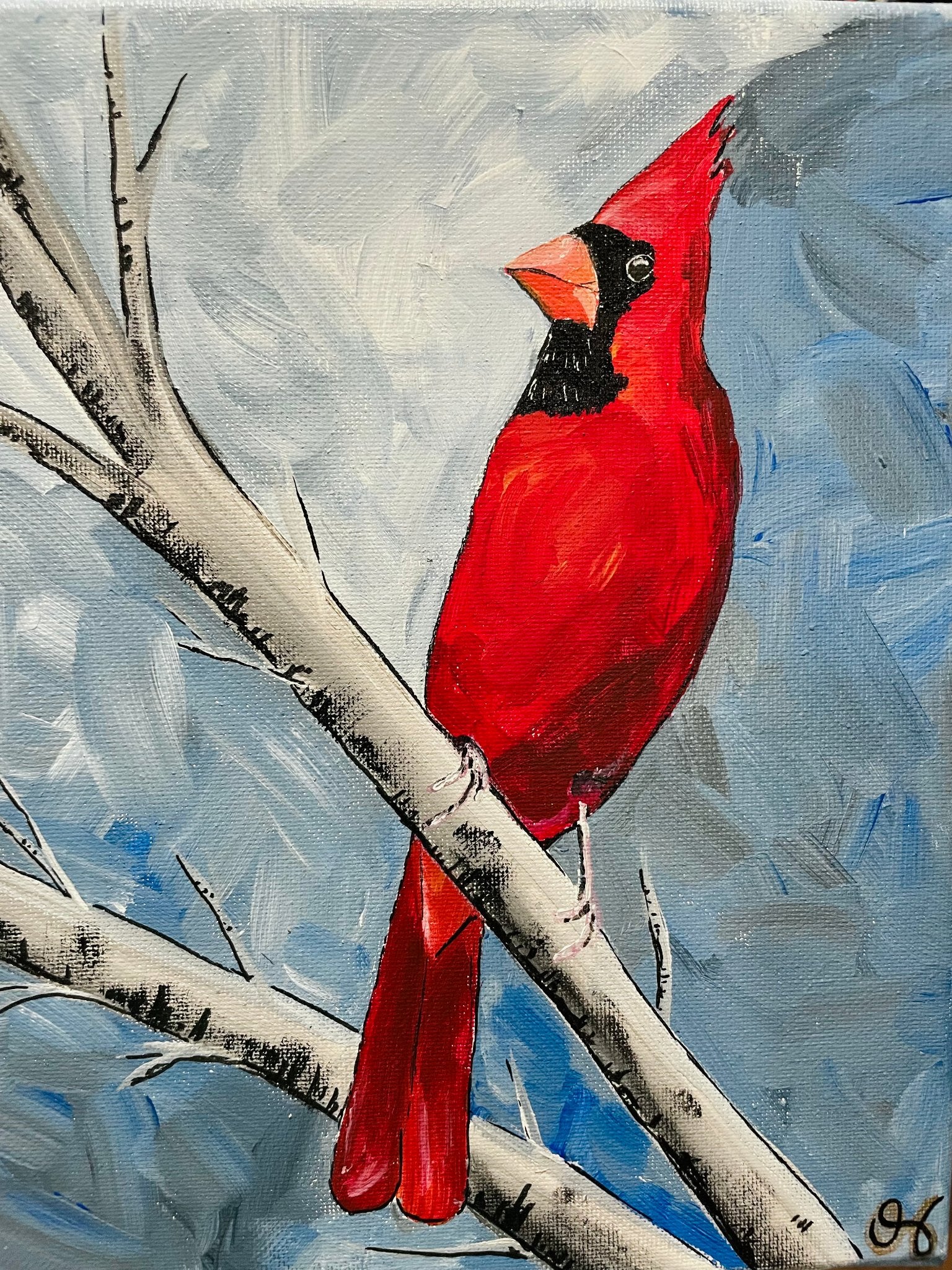 Cardinal Paper Print 7x5 - 1