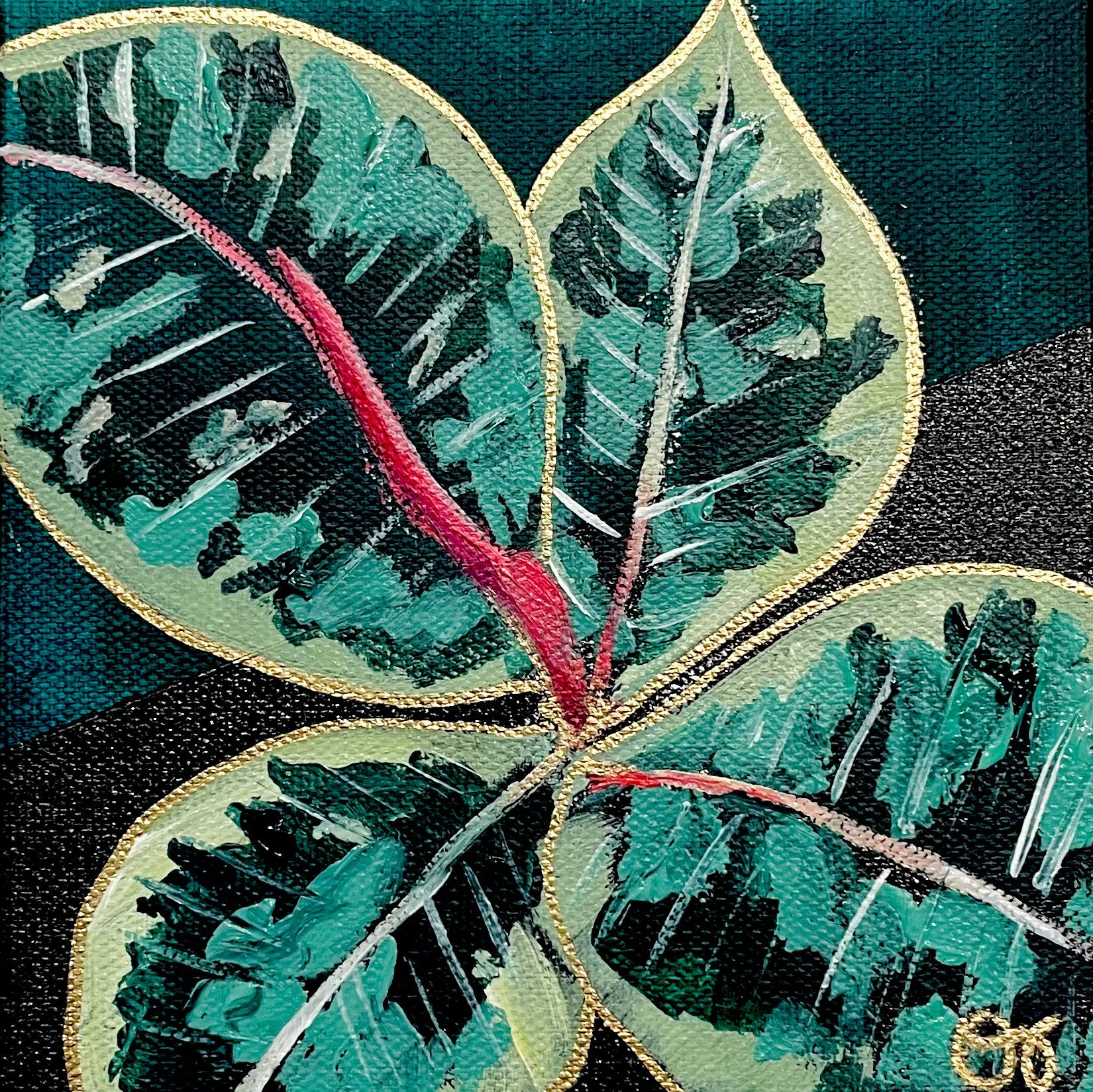 Ficus Tineke Leaf Plant | 8.5 x 8.5 Art Print - 1