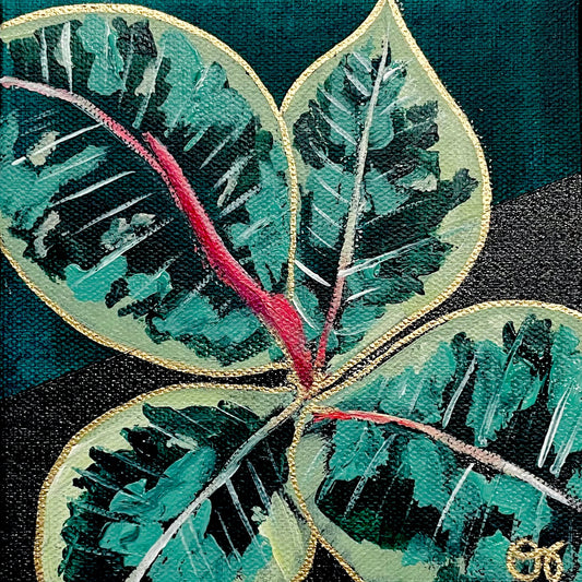Ficus Tineke Leaf Plant | 8.5 x 8.5 Art Print - 1