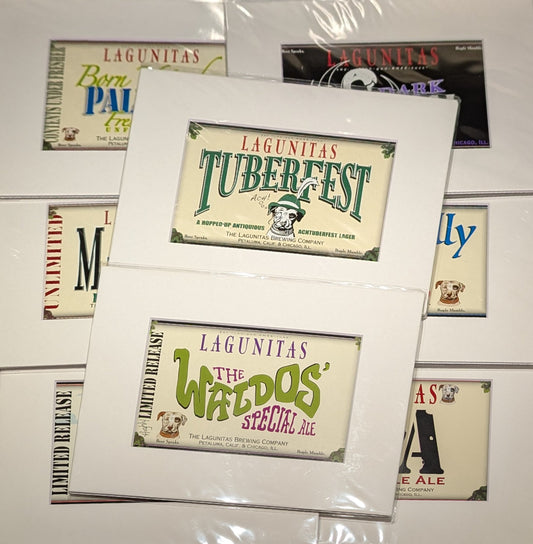 Upcycled Lagunitas Beer Packaging - 1