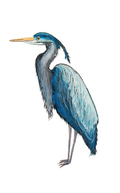 66d34fc959a1090905669a5e_blue-heron-silo_1777245000959.png