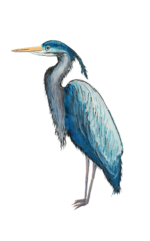 66d34fc959a1090905669a5e_blue-heron-silo_1777245000959.png
