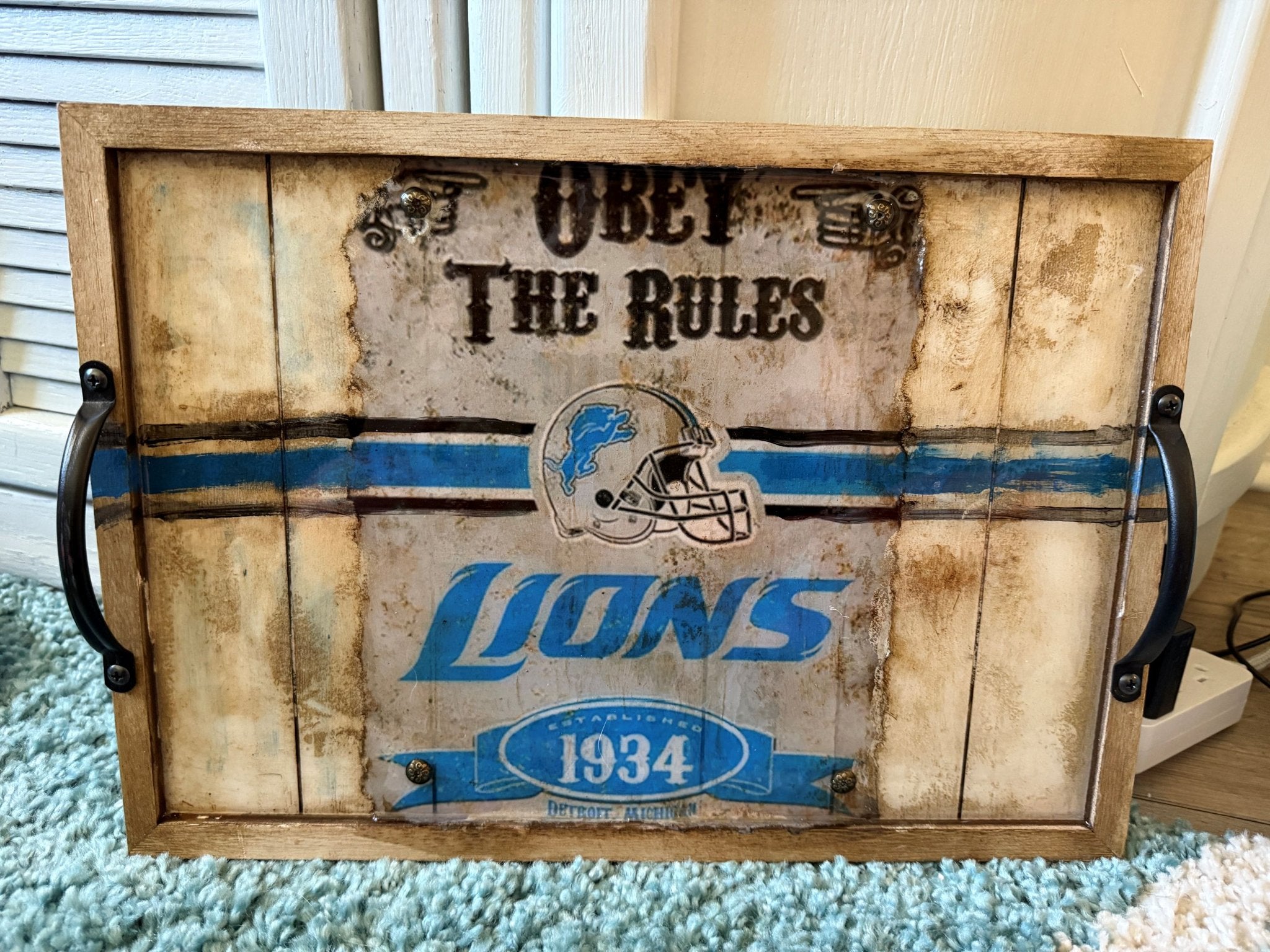 66d34fc959a1090905669a5e_lions-obey-the-rules_1766435161370.jpg