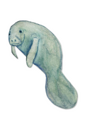 66d34fc959a1090905669a5e_manatee-silo_1777245208554.png