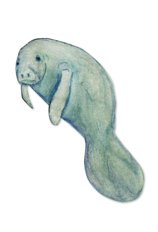 66d34fc959a1090905669a5e_manatee-silo_1777245208554.png