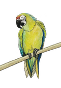 66d34fc959a1090905669a5e_parrot-silo_1777245382808.png