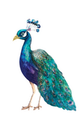 66d34fc959a1090905669a5e_peacock-silo_1777245453852.png