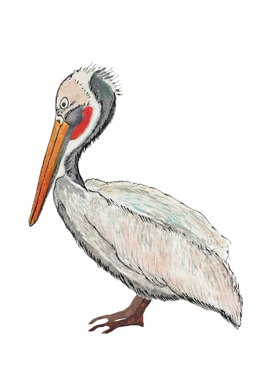 66d34fc959a1090905669a5e_pelican-silo_1777245247840.png