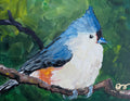 66d34fc959a1090905669a5e_tuft-titmouse-print_1776131604092.png