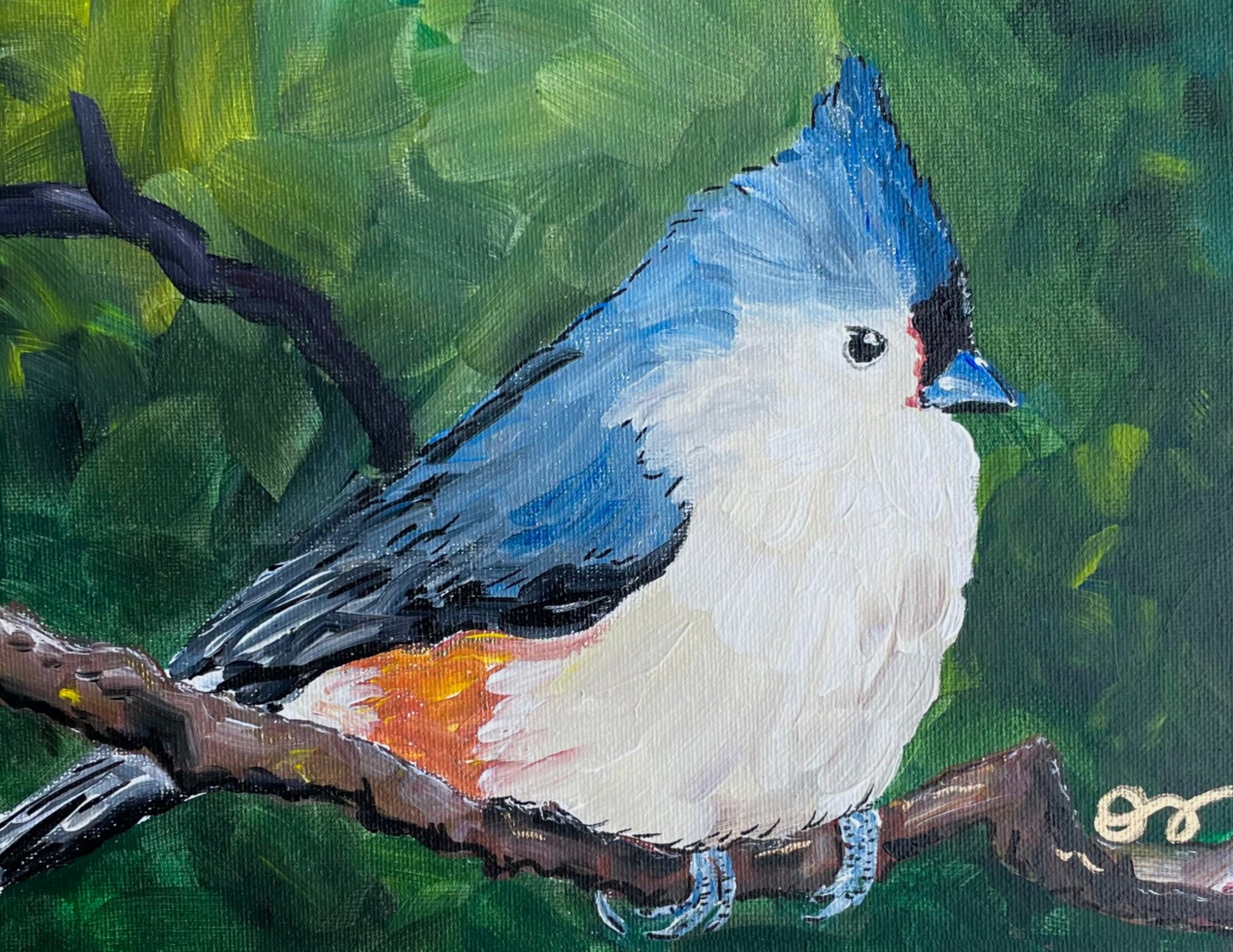 66d34fc959a1090905669a5e_tuft-titmouse-print_1776131604092.png