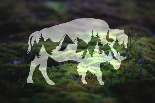 Mountain Buffalo Vinyl Decal | 128
