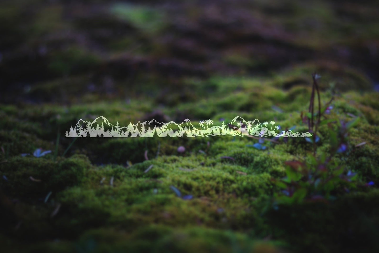 Mountains to Coast Banner | 268
