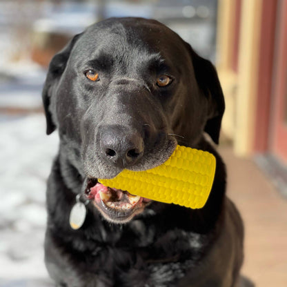 Corn on the Cob Treat Dispenser - Yellow